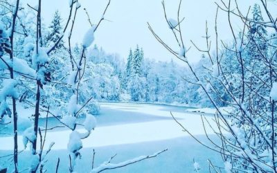 A quoi cela ressemble la neige dans les Vosges ?